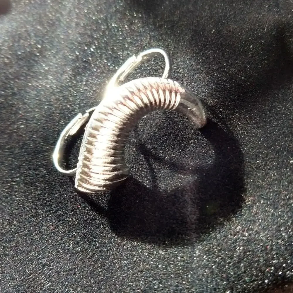 Ring Worm, Adjustable Double Finger Ring; Worm or Ram Horn OSFA both bands